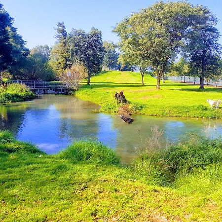 Huge & Private Villa In Kibbutz Dafna Εξωτερικό φωτογραφία