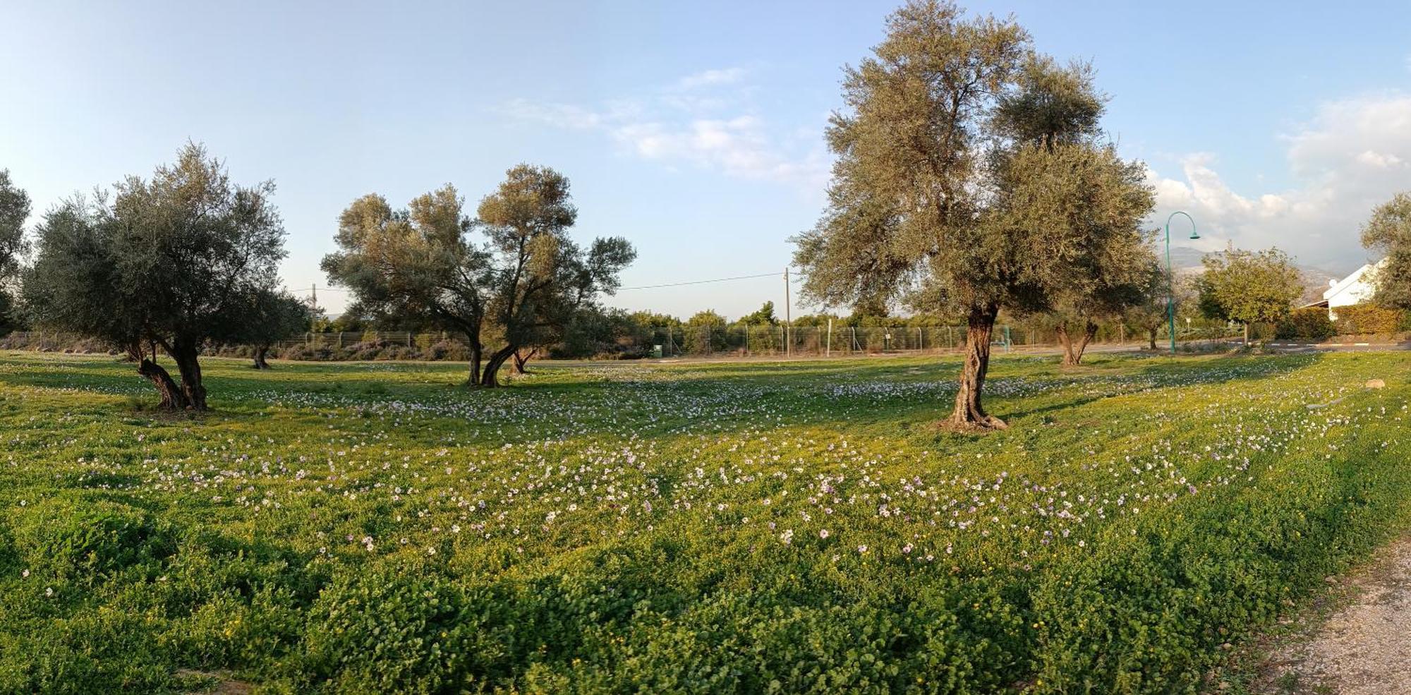 Huge & Private Villa In Kibbutz Dafna Εξωτερικό φωτογραφία