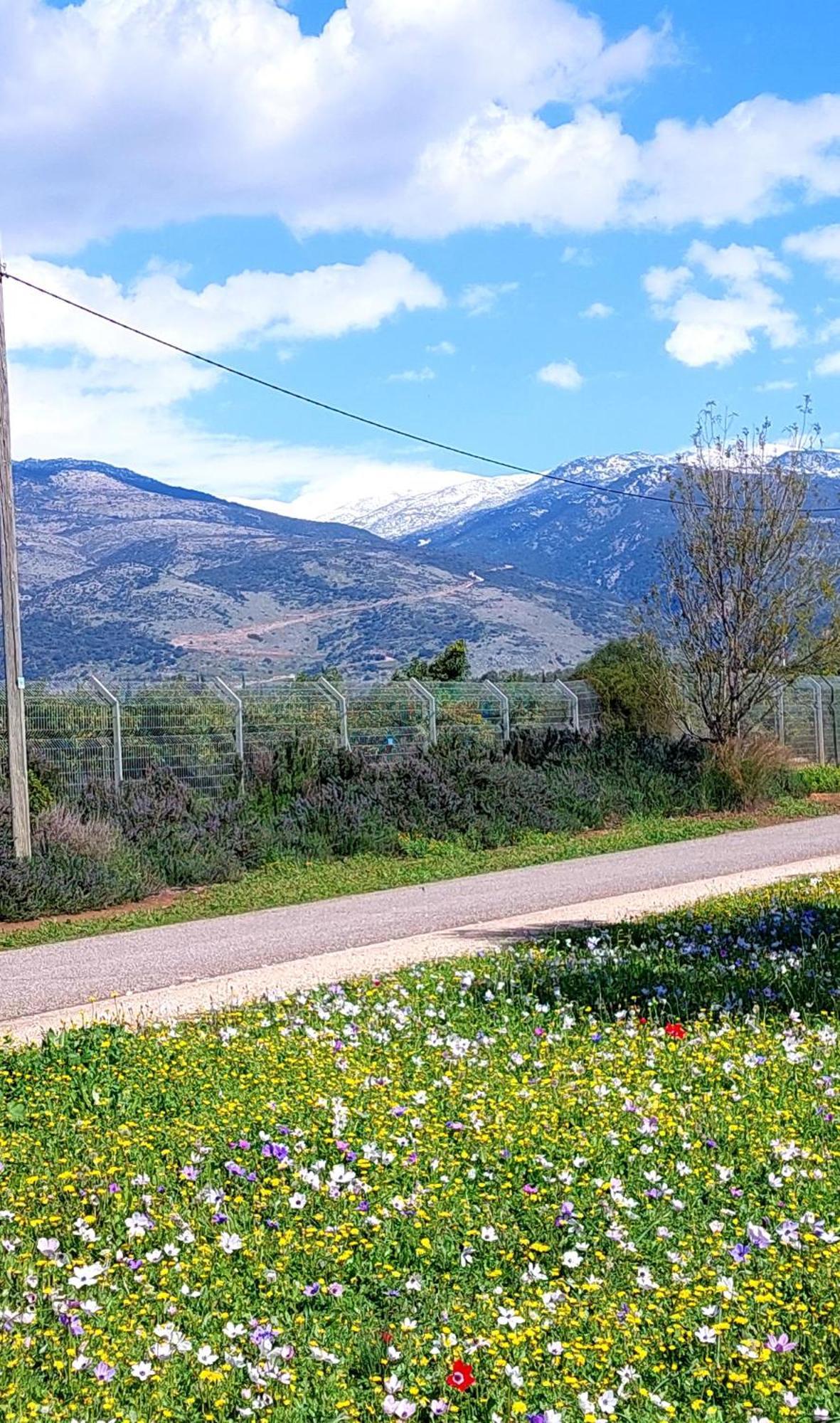 Huge & Private Villa In Kibbutz Dafna Εξωτερικό φωτογραφία