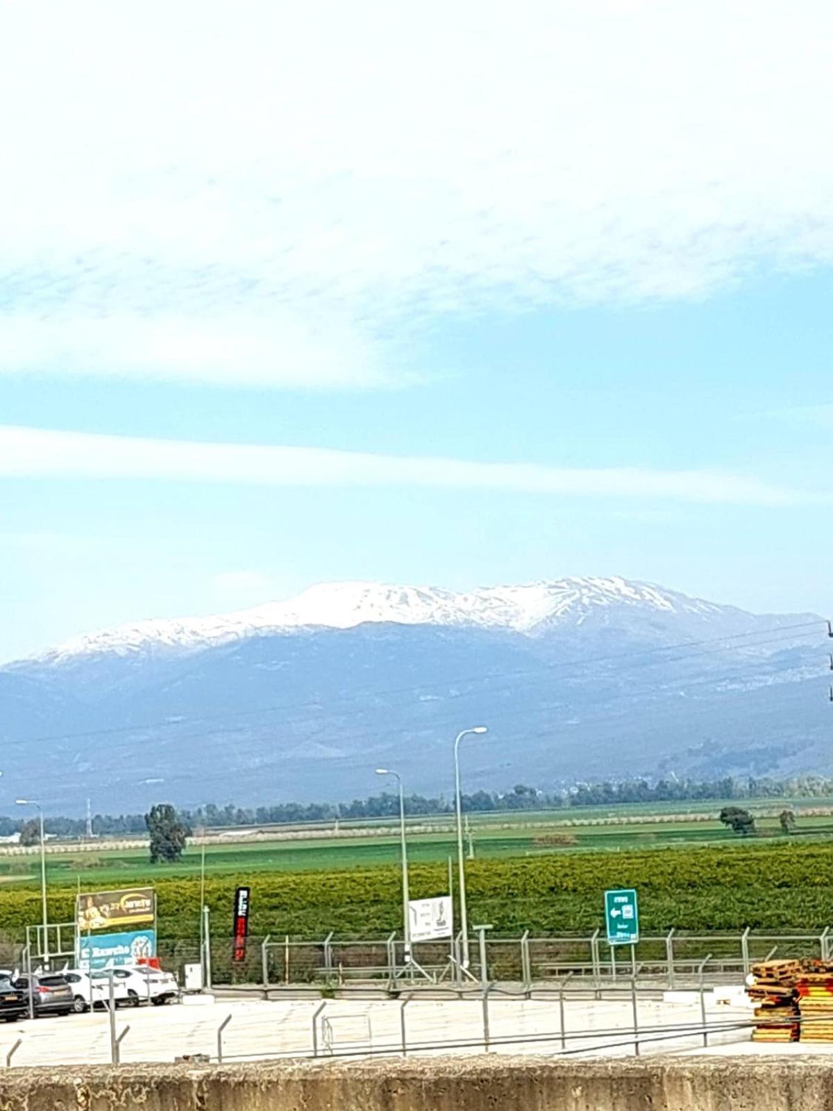 Huge & Private Villa In Kibbutz Dafna Εξωτερικό φωτογραφία