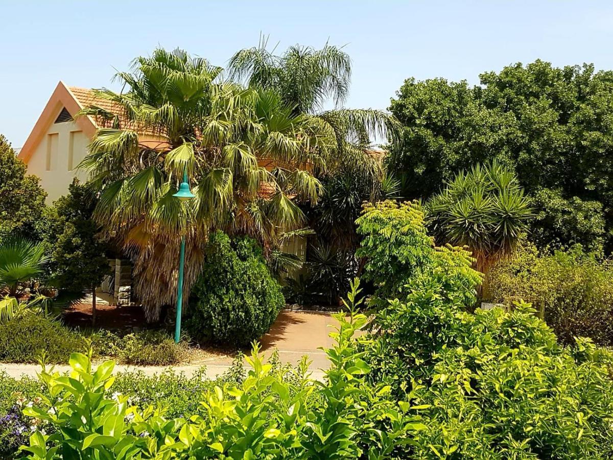 Huge & Private Villa In Kibbutz Dafna Εξωτερικό φωτογραφία